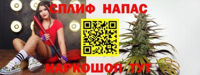 Альфа ПВП Камышлов