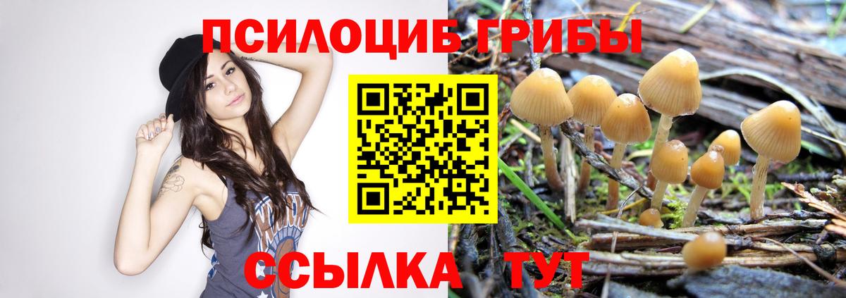 Галлюциногенные грибы Cubensis Янаул